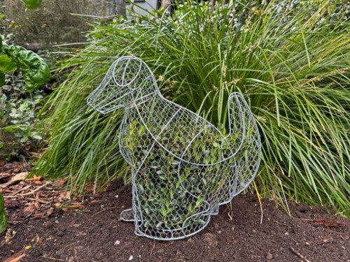 Topiary Plant Training Frame Dog 19 x 38 x 38cm