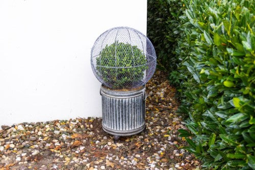 Topiary Plant Training Frame Ball Large 41 x 41 x 39cm