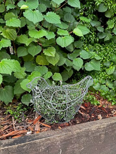 Topiary Plant Training Frame Bird 37 x 16 x 25cm