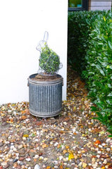 Topiary Plant Training Frame Rabbit 18 x 29 x 39cm