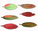 Printed ACM Pohutukawa Leaves Set - Wall Art