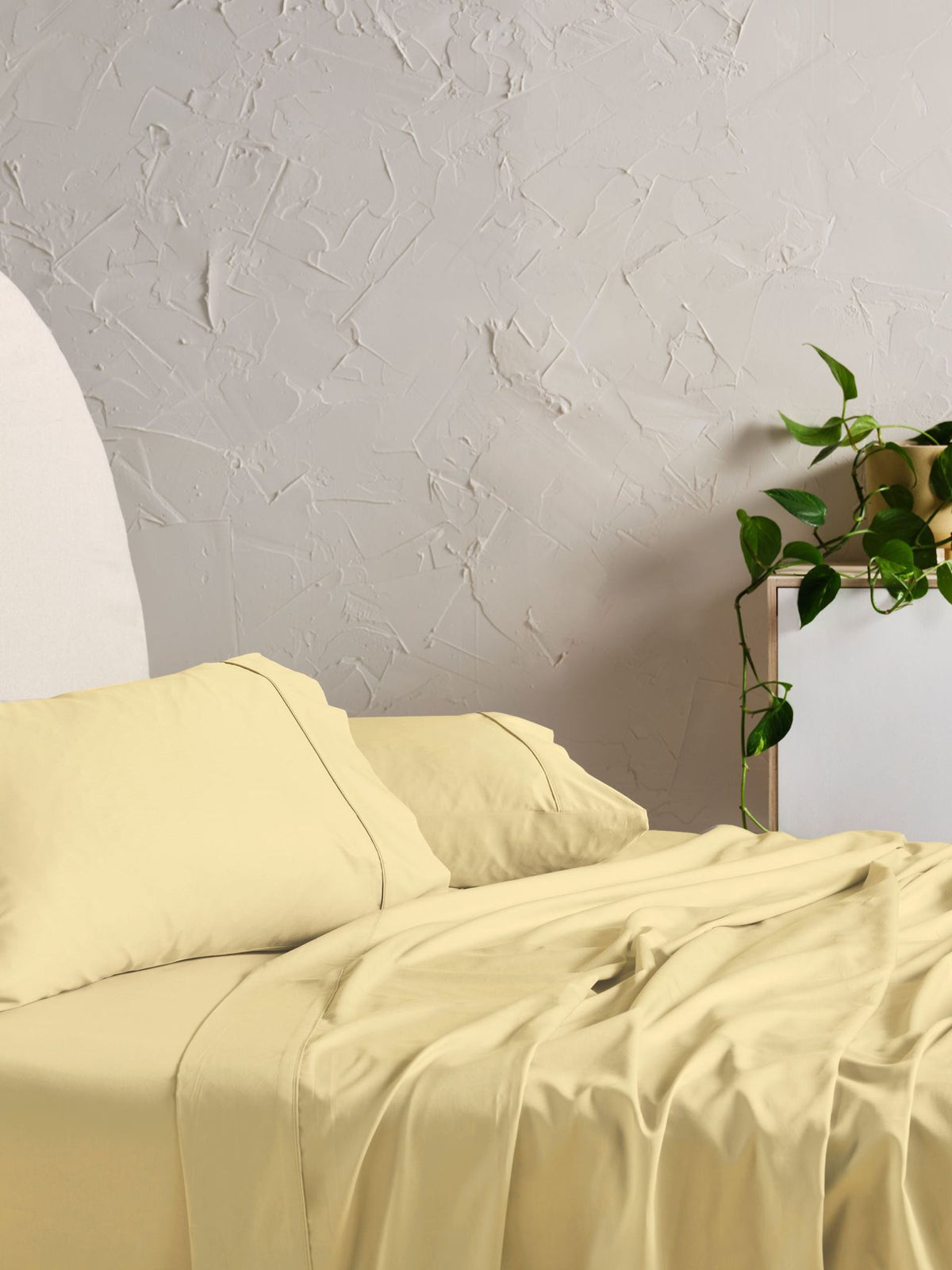 Sheet Set - 500 Thread Count Cotton Sateen Augusta Daffodil - Single