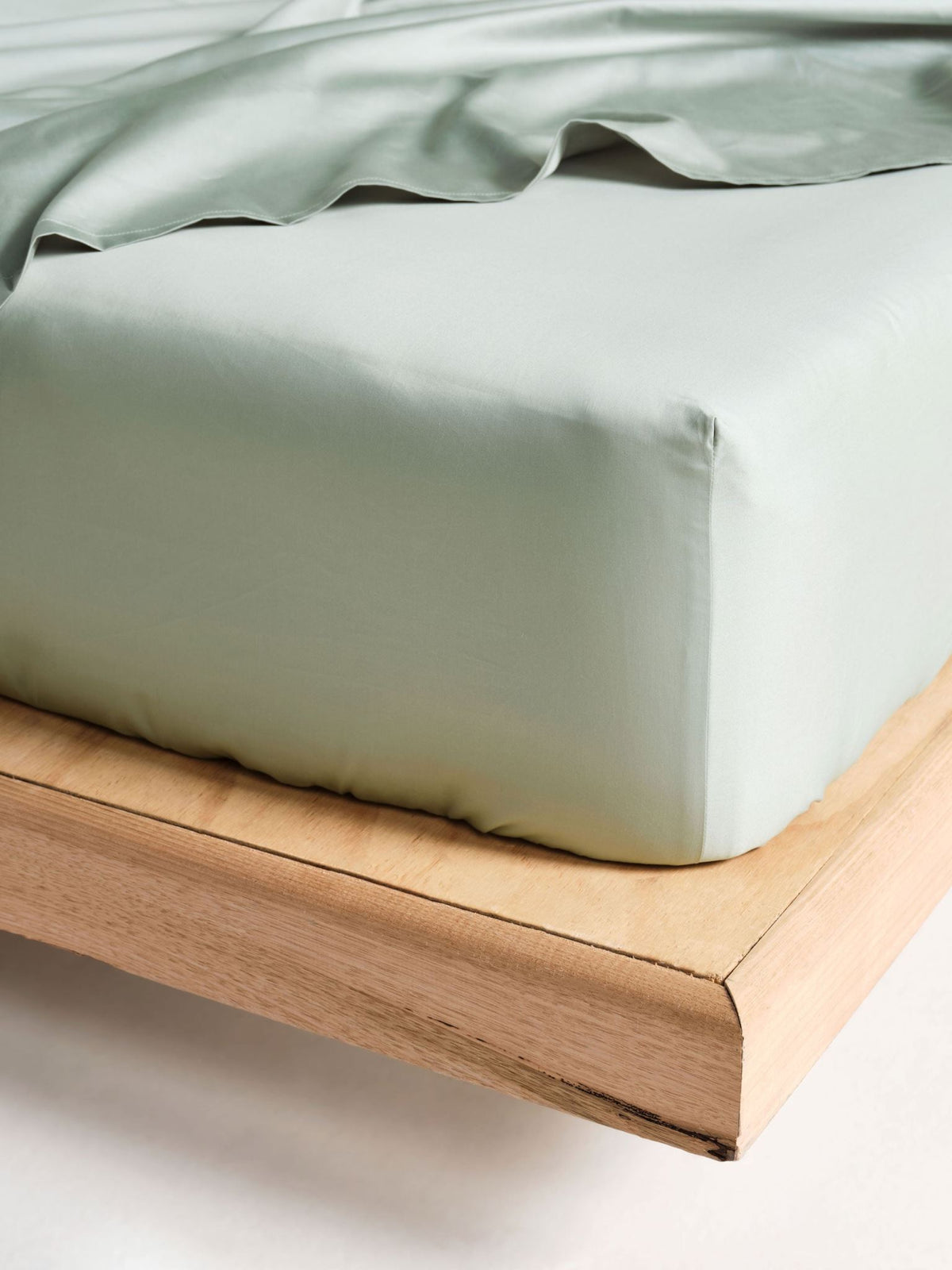 Fitted Sheet - 500 Thread Count Cotton Sateen Augusta Green Gum 50cm - Single