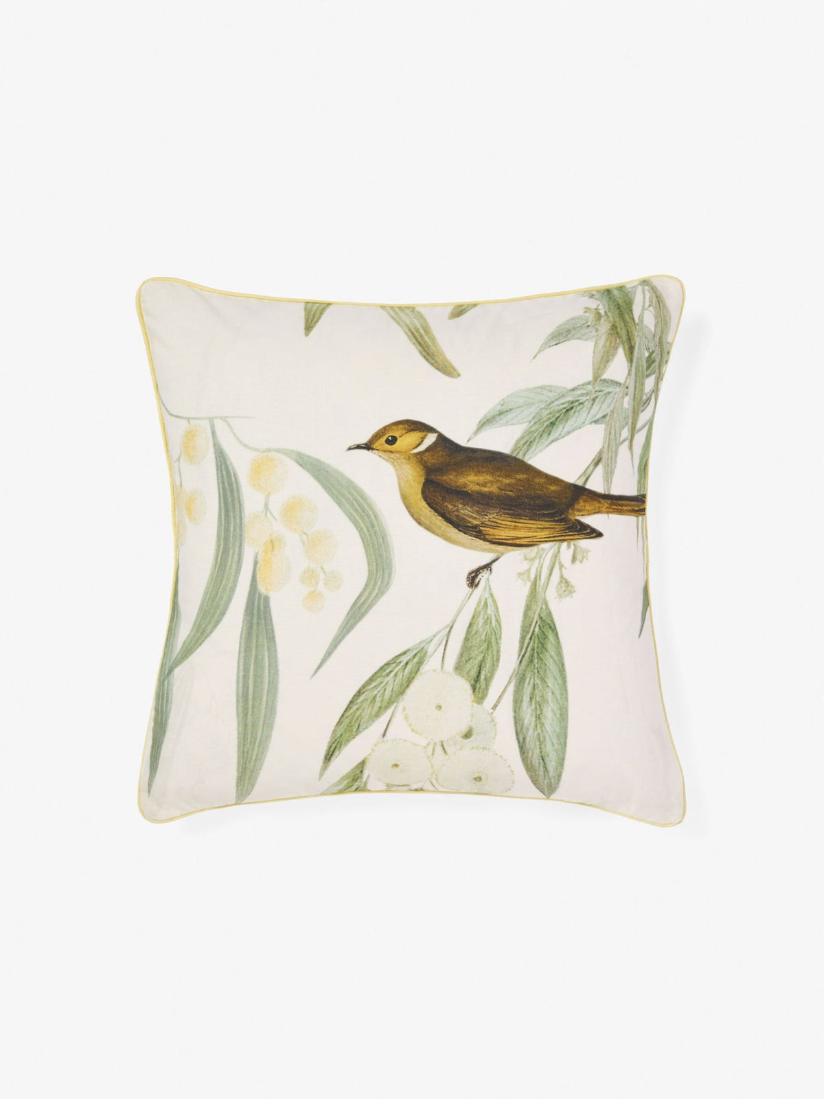 Cushion - Eppalock 48 x 48cm Linen House - 48cm x 48cm Natural