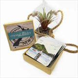 Coasters Set - Mt Maunganui