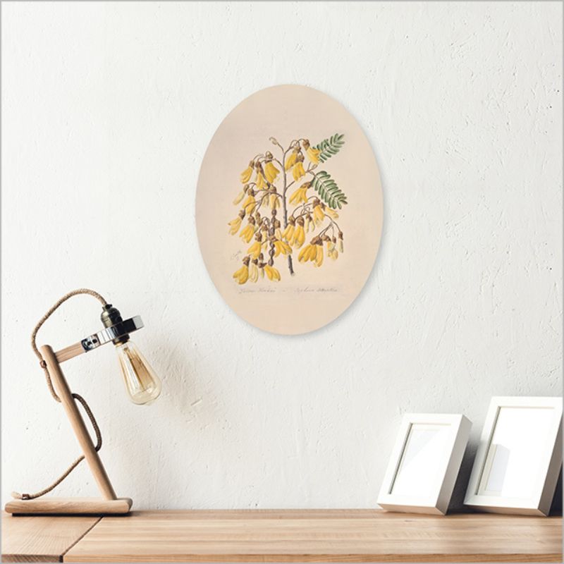 Wall Art - Ply Oval Sarah Featon Kowhai (28cm)