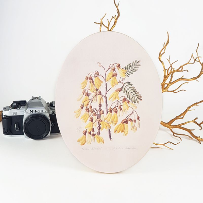 Wall Art - Ply Oval Sarah Featon Kowhai (28cm)