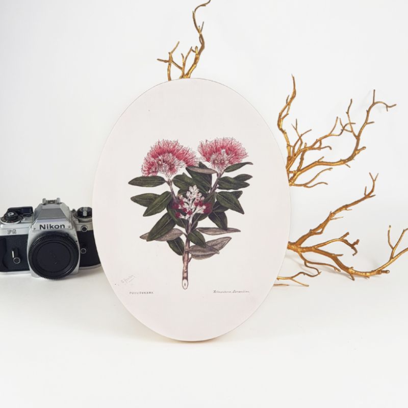 Wall Art - Ply Oval Sarah Featon Pohutukawa (28cm)