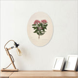 Wall Art - Ply Oval Sarah Featon Pohutukawa (28cm)