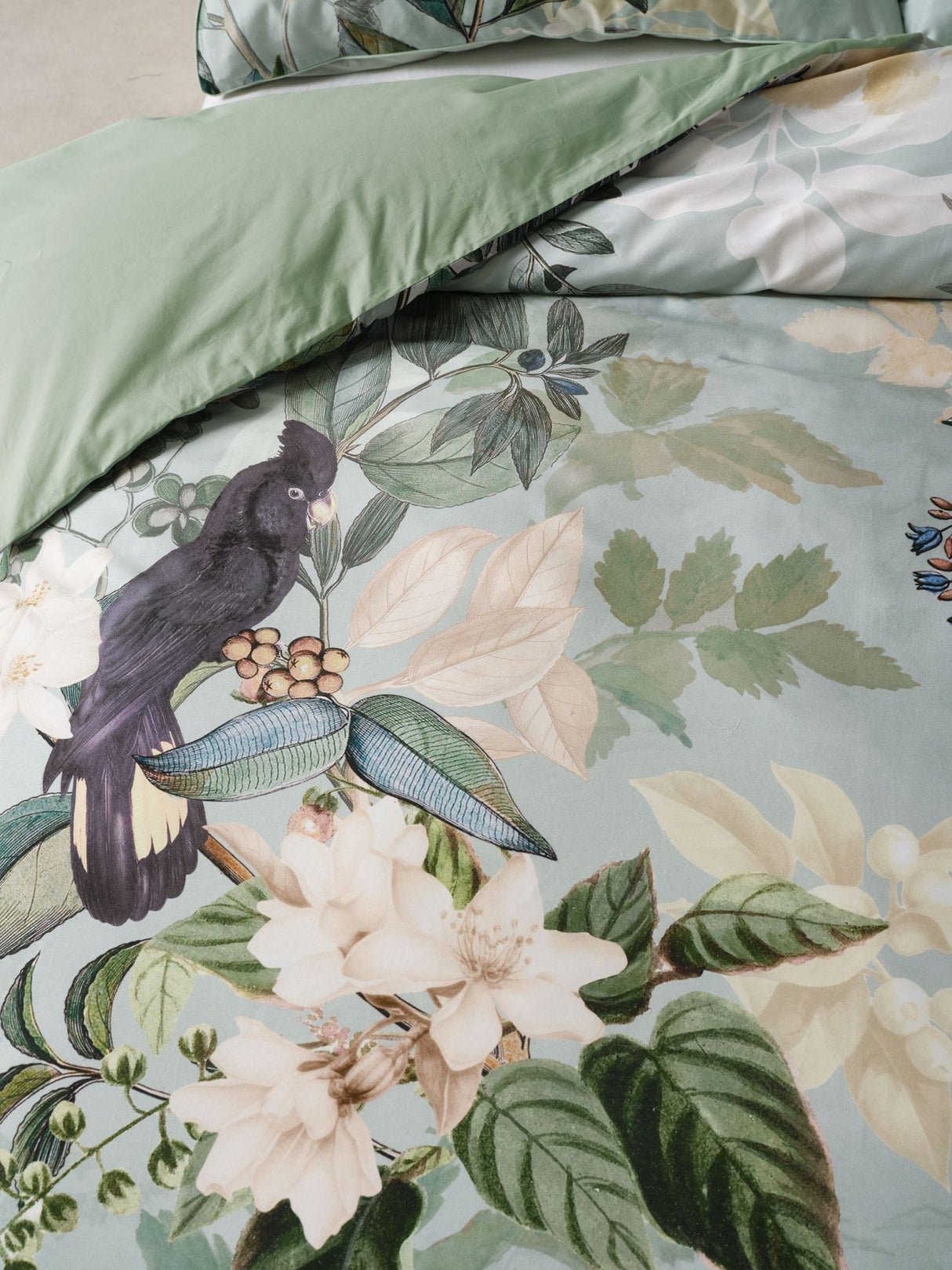Blair Duvet Cover Set by Linen House - Queen (Jade)