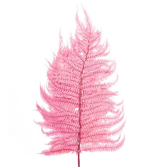 Five dusty pink artificial dried leatherleaf fern stems, each 70cm long, enhancing elegant home decor with a boho-chic vibe.