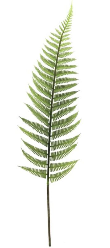 Realistic 47cm artificial fern leaf stem, perfect for home decor and versatile arrangements, enhancing any space effortlessly.