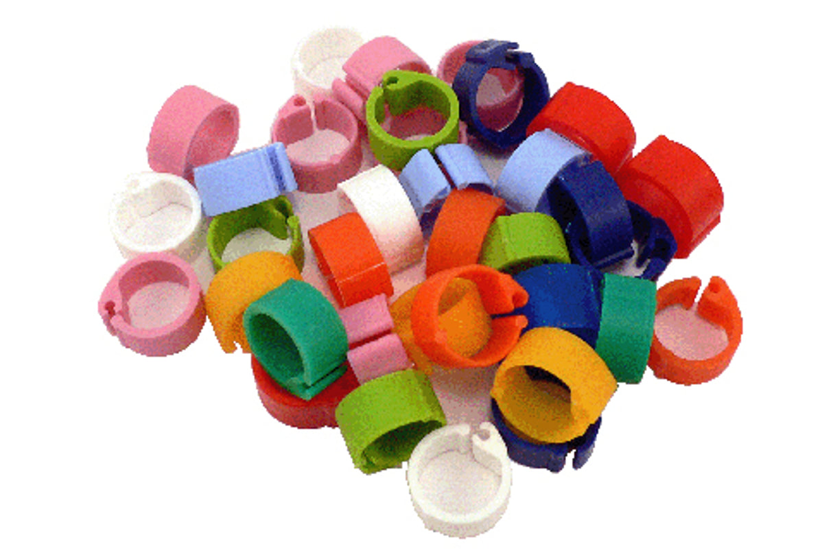 Plastic Click Leg Rings 8mm - Dove