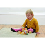 Peter Rabbit Wooden Picture Blocks  - Beatrix Potter