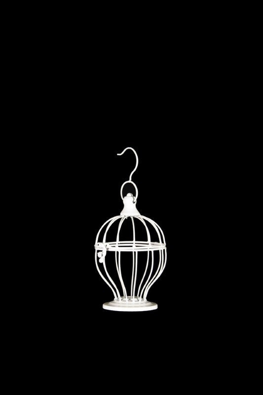 Decorative - Mini Curve Bird Cage