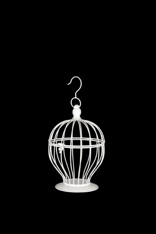 Decorative - Curve Bird Cage