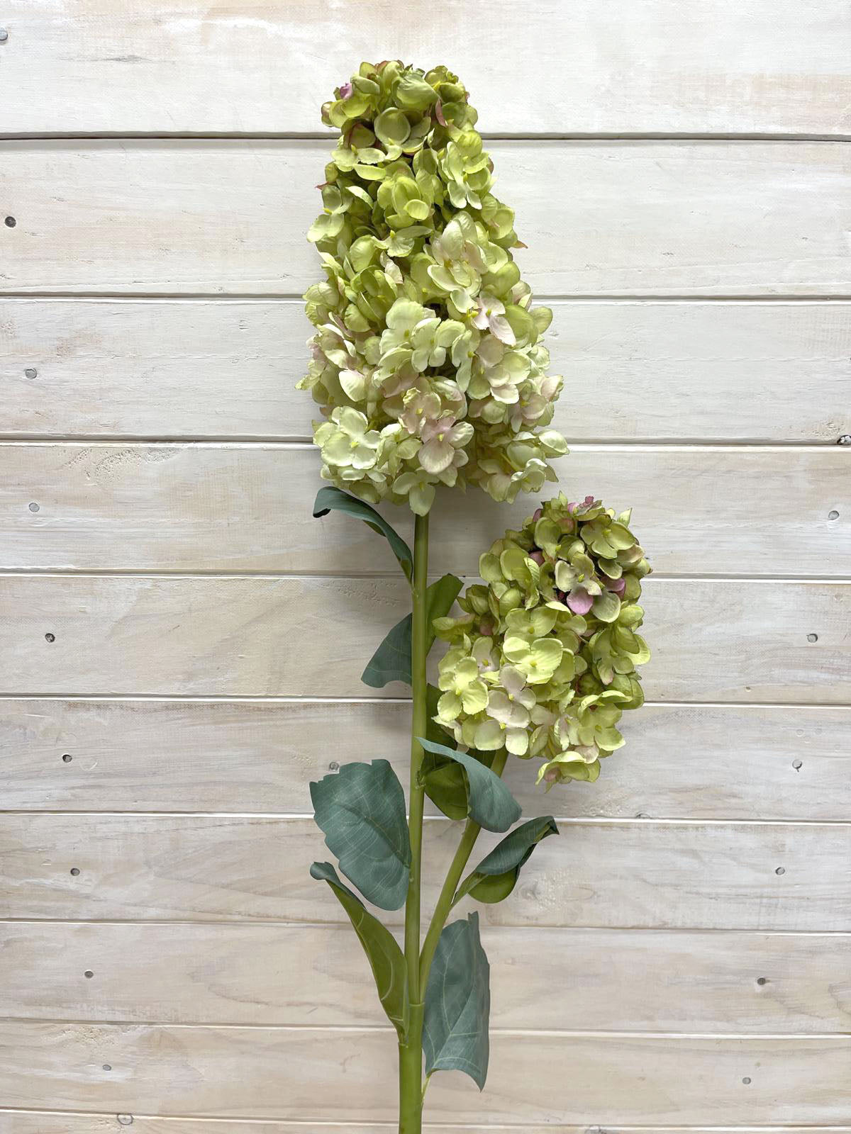 Artificial Flower -Dried Look  - Hydrangea Paniculate Spray X 2 GREEN