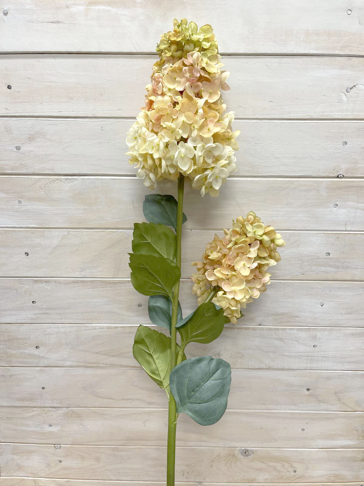 Artificial Flower -Dried Look  - Hydrangea Paniculate Spray X 2 YELLOW