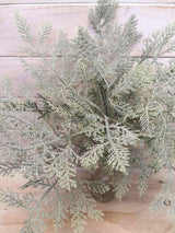 Artificial Plant -Fern - Cedar Fern Bush