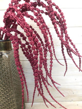 Artificial Amaranthus - Amaranthus Spray