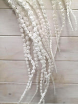 Artificial Amaranthus  - Amaranthus Spray White