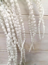 Artificial Amaranthus  - Amaranthus Spray White