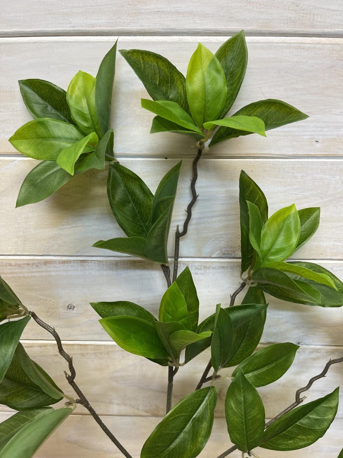 Artificial Leaf - Daphne Leaf Spray
