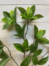 Artificial Leaf - Daphne Leaf Spray