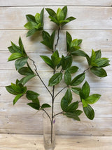 Artificial Leaf - Daphne Leaf Spray