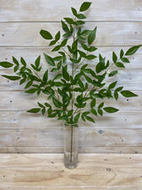 Artificial Leaf - Nandina Leaf Spray X 3
