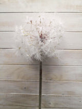 Artificial Flower -Dandelion - 15cm Large White Dandelion