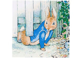 CrystalArt - Peter Under the Fence 18x18cm Card
