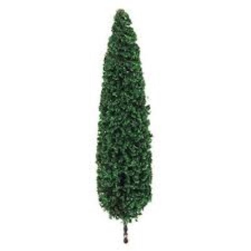Two realistic 75-100mm poplar trees for enhancing model railways and dioramas with intricate details and natural textures.