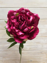 Artificial Flower -Peony - Single Large Velvet Peony