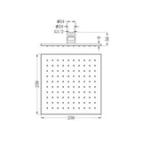 250mm Square Shower Head Brushed Gold - Nero