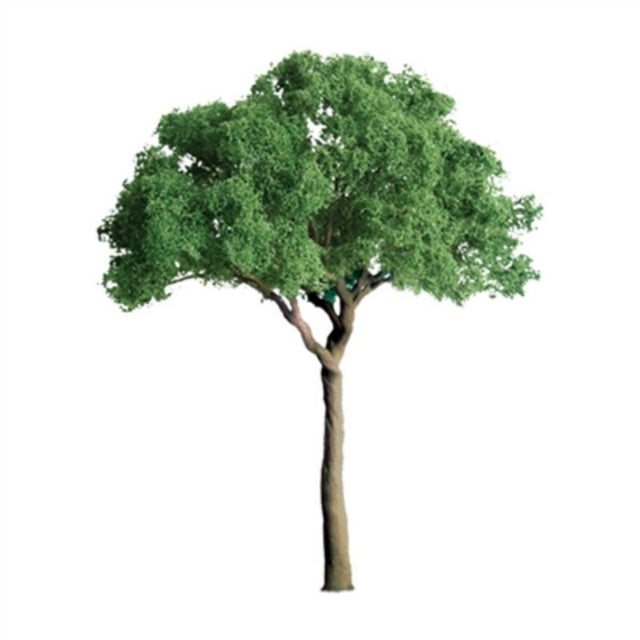 Set of two 75mm Green Jacaranda trees, perfect for enhancing miniature landscapes and model displays.