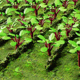 Detailed HO scale model of vibrant rhubarb, perfect for enhancing model railway and diorama landscapes.