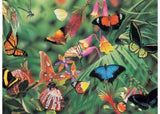 Blue Opal - Wild Aust Butterflies & Beetles 100pc