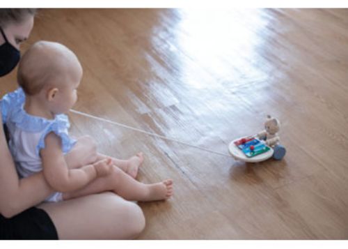 PlanToys - Pull-Along Musical Bear