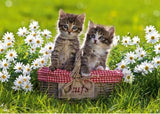 Puzzle - Ravensburger - Picnic in the Meadow Puzzle 1000pc