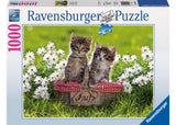 Puzzle - Ravensburger - Picnic in the Meadow Puzzle 1000pc