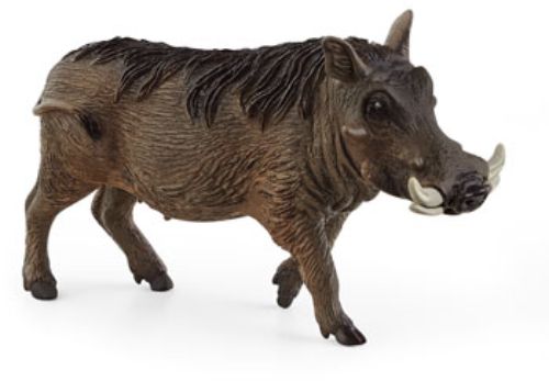 Schleich - Warthog
