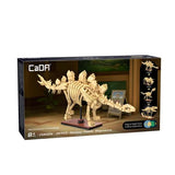 Dinosaur Fossils - Stegosaurus
