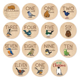 Milestone Discs Set - NZ Birds (15 Fabric Stickers)