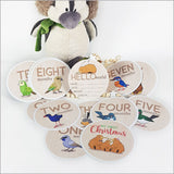 Milestone Discs Set - NZ Birds (15 Fabric Stickers)