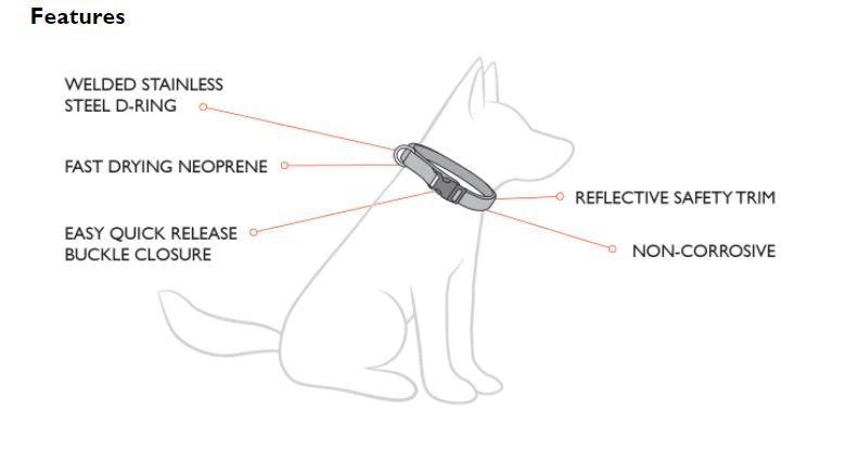 Dog Collar - Ezy Dog Neo - Medium - Blue Collar