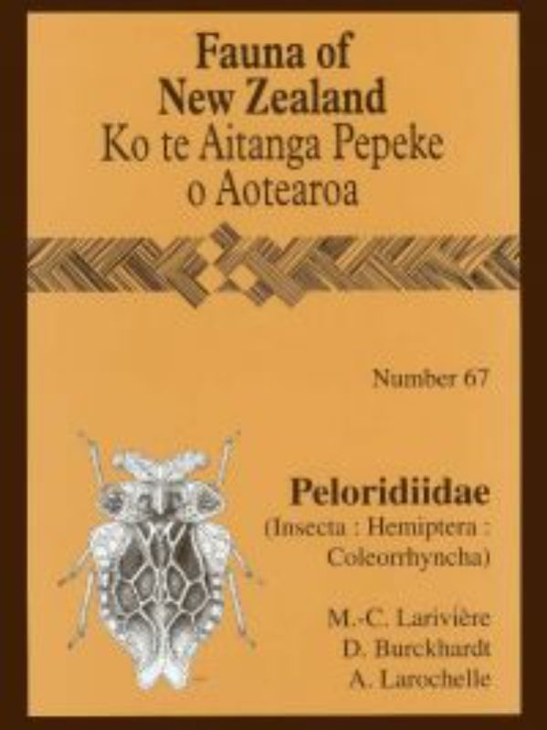 FAUNA OF NZ 67 PELORIDIIDAE