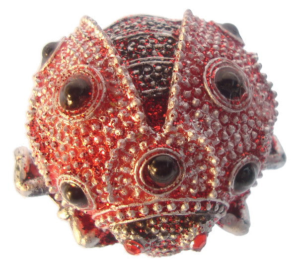 Ladybird - Ladybird