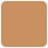 Kanebo - Sensai Flawless Satin Moisture Foundation SPF 25 - # FS204 Honey Beige