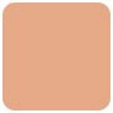 Clarins Skin Illusion Tinted Moisturizer SPF 25 - # 2.5  40ml